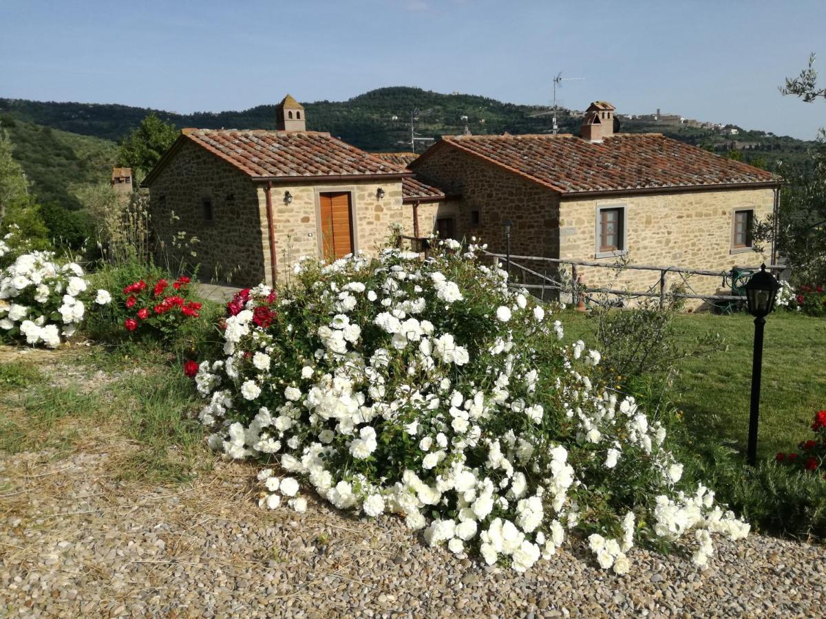 San Martino Agli Ulivi Villa Cortona Exterior photo