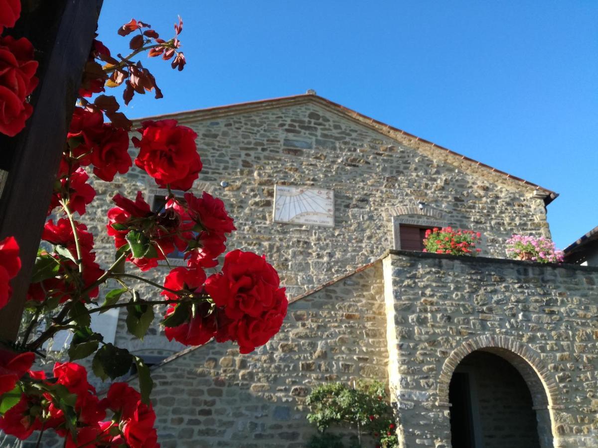 San Martino Agli Ulivi Villa Cortona Exterior photo