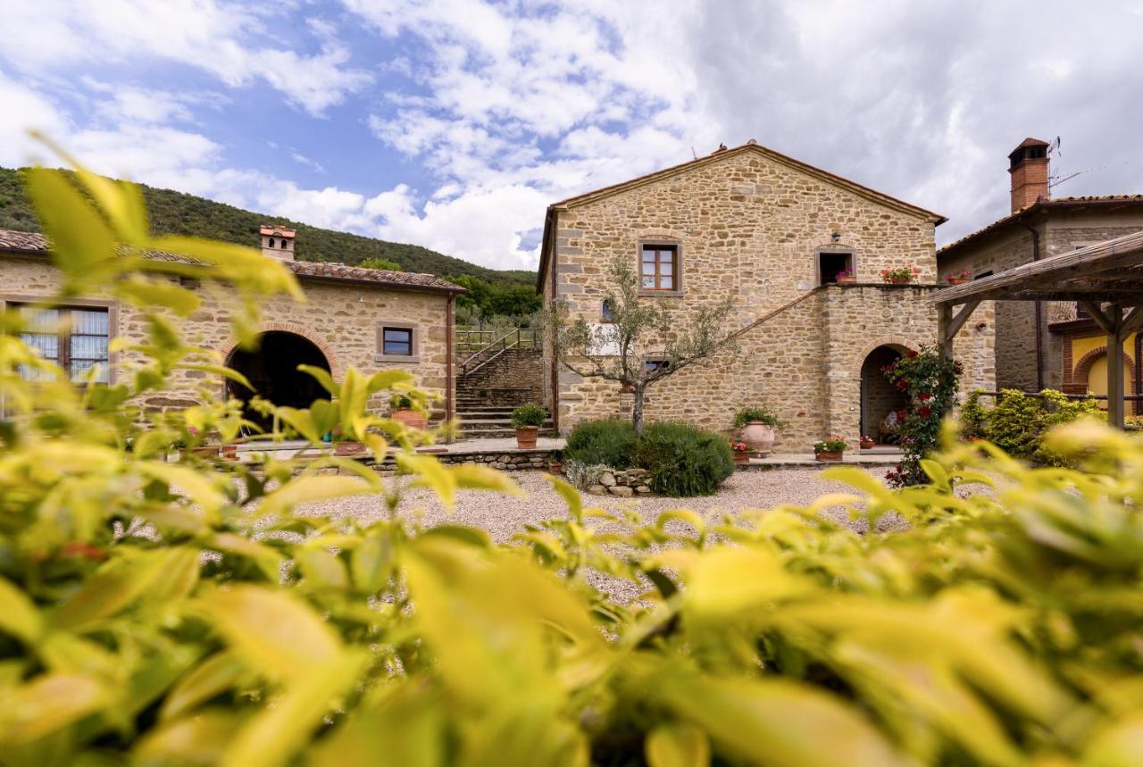 San Martino Agli Ulivi Villa Cortona Exterior photo